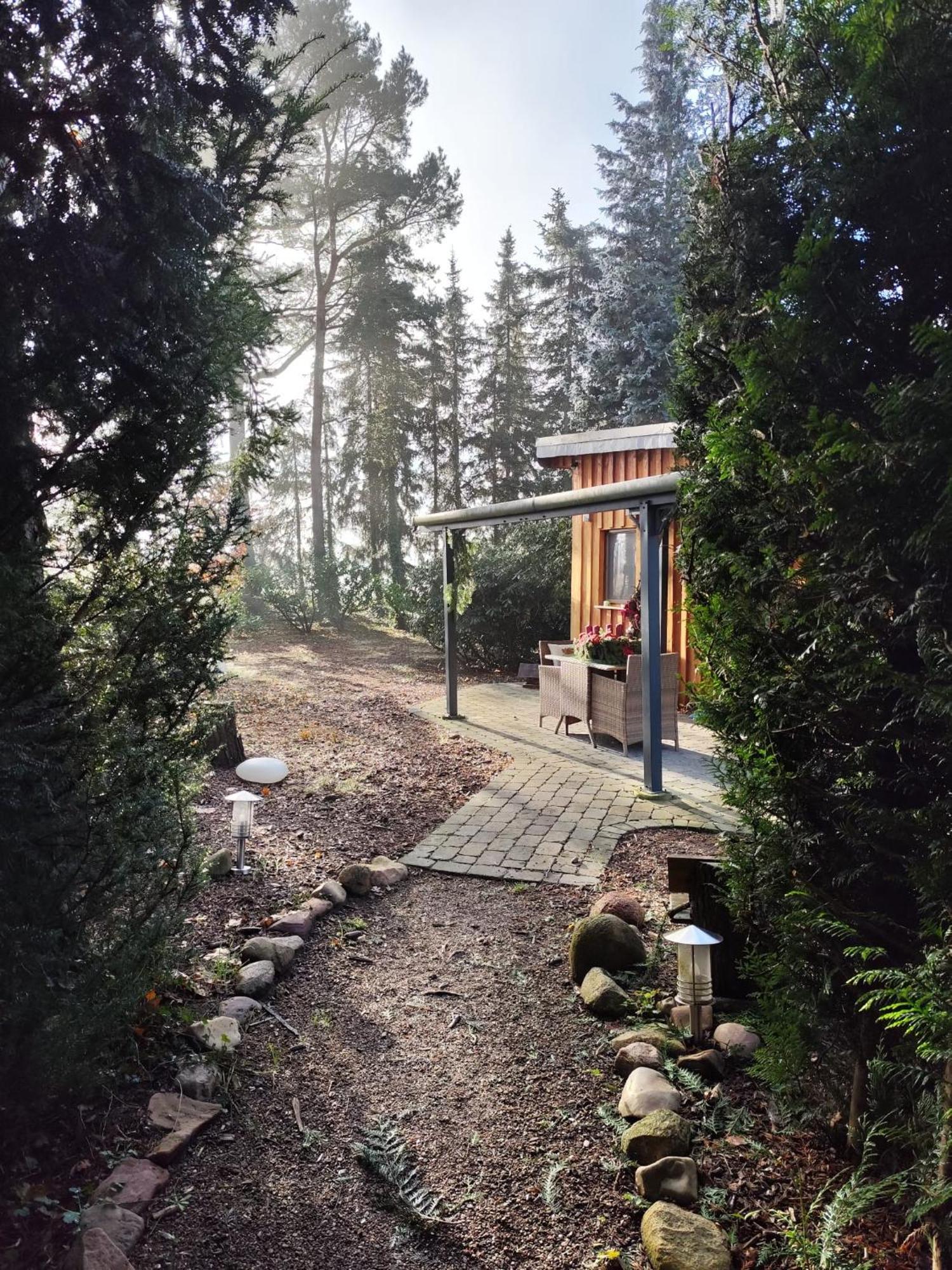 Leon Mit Sauna Dom wakacyjny Rehburg-Loccum